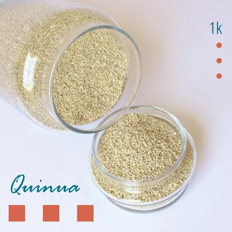 Quinua 1 kg - Emporio Cooperativo - INTA