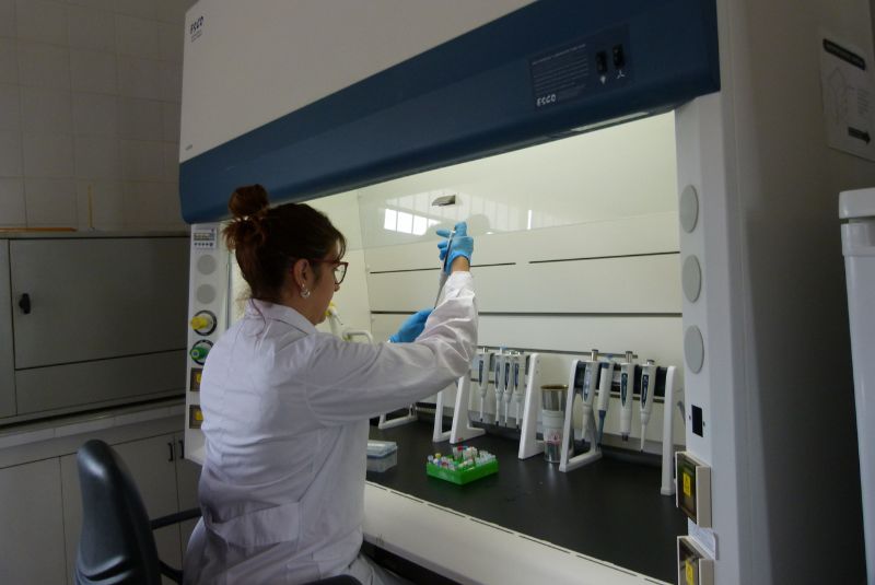 el inta posee la primera colección de olivos de américa analisis laboratorio