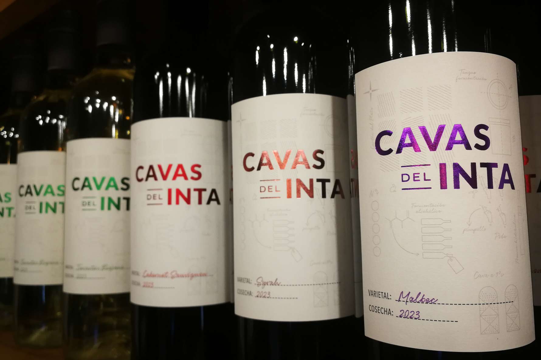el vino, una historia milenaria en cada copa, cavas del inta, emporio cooperativo