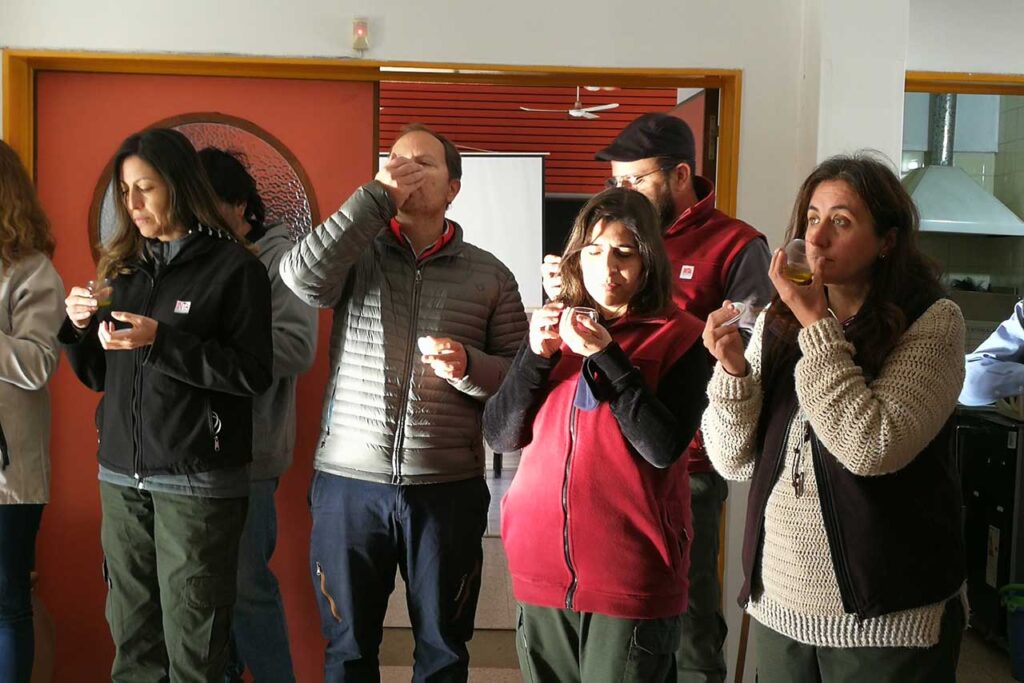 degustacion aceite de oliva (4)