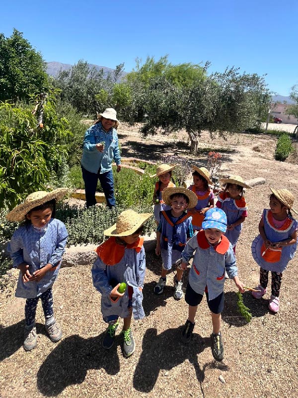 experiencias rurales inta san juan huerta agroecologica c