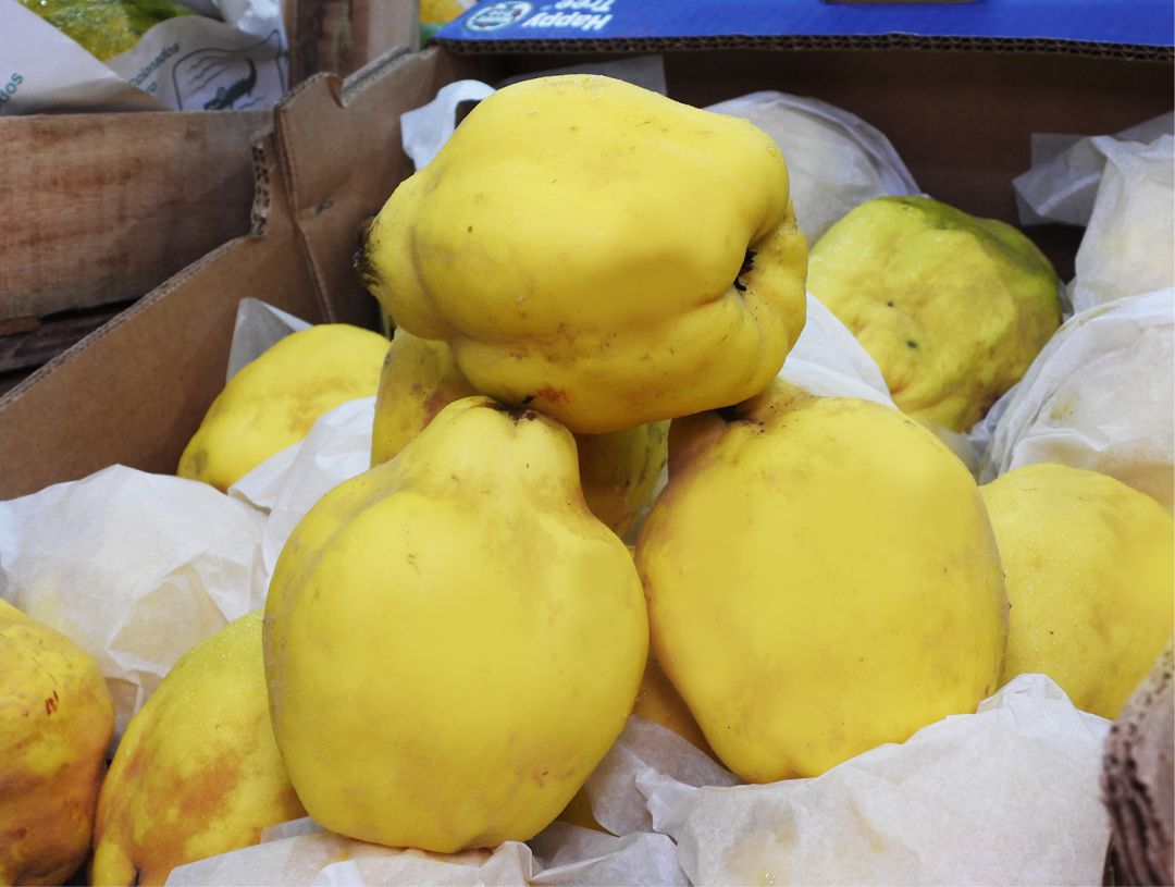 el membrillo de san juan tradición, calidad e innovación en nuevos productos