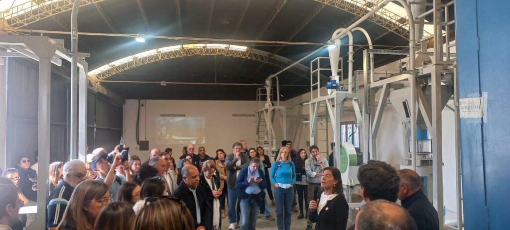 san juan inauguró la primera planta de procesamiento de quinua sin uso de agua en la región