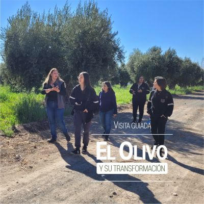 el olivo experiencias rurales