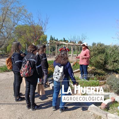 visita a la huerta experiencias rurales